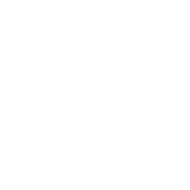 Dad Joke Champion